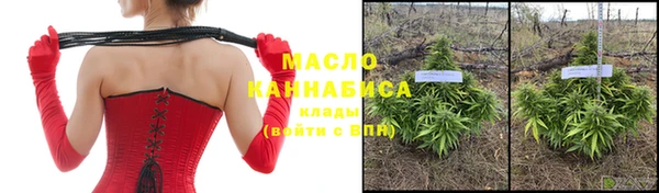 дмт Заводоуковск