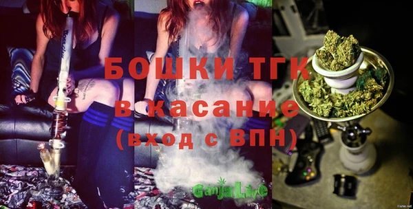 дмт Заводоуковск